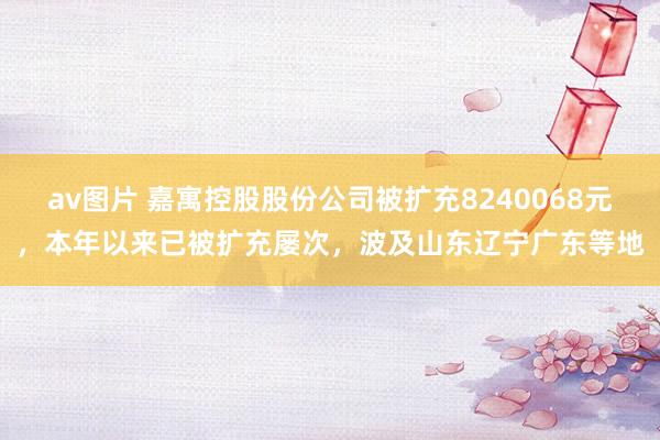 av图片 嘉寓控股股份公司被扩充8240068元，本年以来已被扩充屡次，波及山东辽宁广东等地