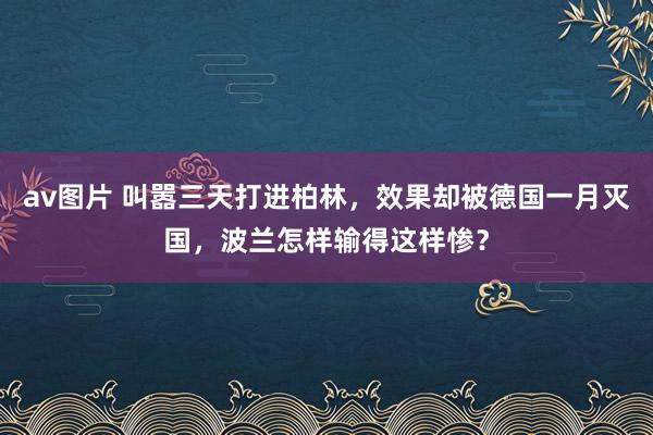 av图片 叫嚣三天打进柏林，效果却被德国一月灭国，波兰怎样输得这样惨？