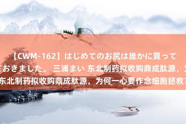 【CWM-162】はじめてのお尻は誰かに買って欲しくて今日までとっておきました。 三浦まい 东北制药拟收购鼎成肽源，为何一心要作念细胞拯救？