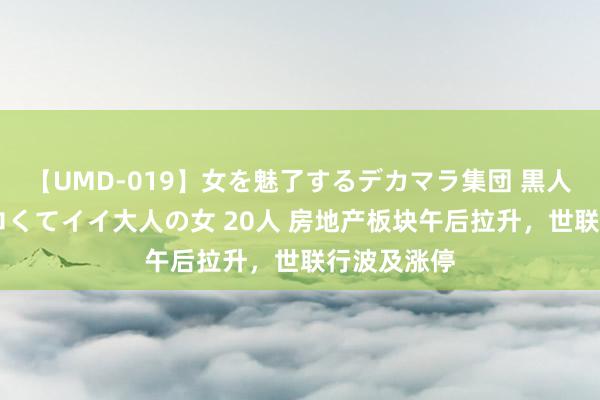 【UMD-019】女を魅了するデカマラ集団 黒人ナンパ エロくてイイ大人の女 20人 房地产板块午后拉升，世联行波及涨停