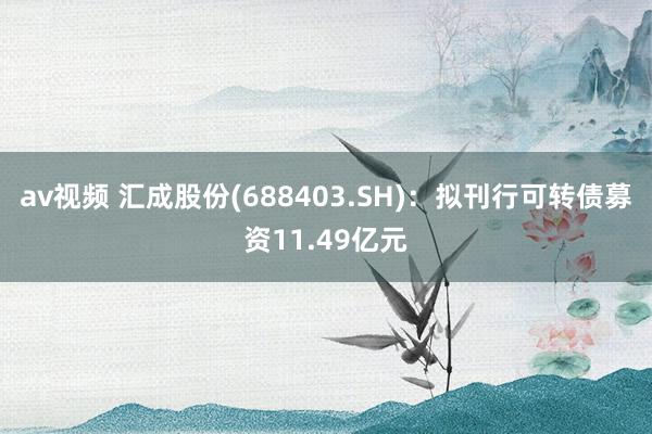 av视频 汇成股份(688403.SH)：拟刊行可转债募资11.49亿元