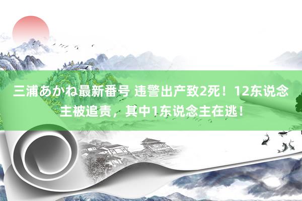 三浦あかね最新番号 违警出产致2死！12东说念主被追责，其中1东说念主在逃！