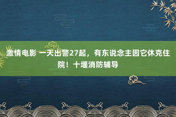 激情电影 一天出警27起，有东说念主因它休克住院！十堰消防辅导