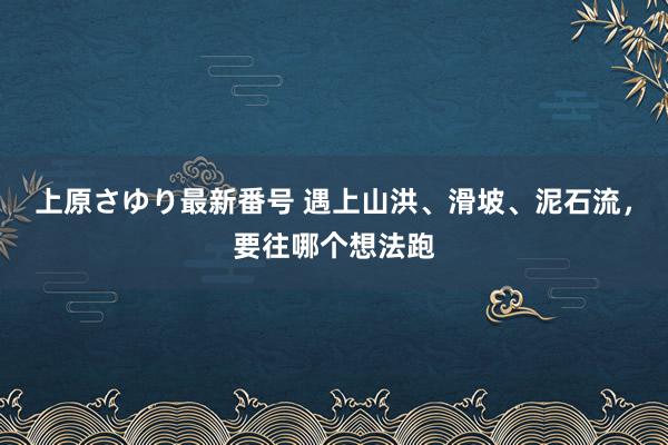 上原さゆり最新番号 遇上山洪、滑坡、泥石流，要往哪个想法跑