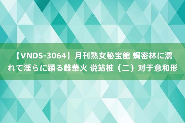 【VNDS-3064】月刊熟女秘宝館 蜩密林に濡れて淫らに踊る雌華火 说站桩（二）对于意和形