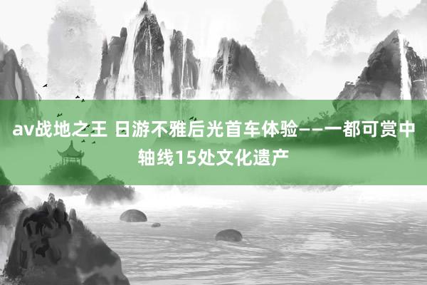 av战地之王 日游不雅后光首车体验——一都可赏中轴线15处文化遗产