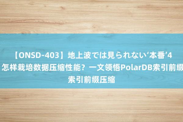 【ONSD-403】地上波では見られない‘本番’4時間 怎样栽培数据压缩性能？一文领悟PolarDB索引前缀压缩