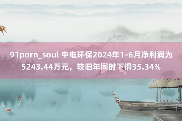 91porn_soul 中电环保2024年1-6月净利润为5243.44万元，较旧年同时下滑35.34%