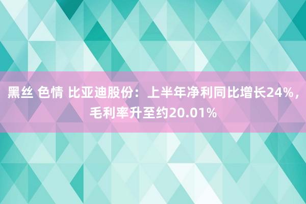 黑丝 色情 比亚迪股份：上半年净利同比增长24%，毛利率升至约20.01%