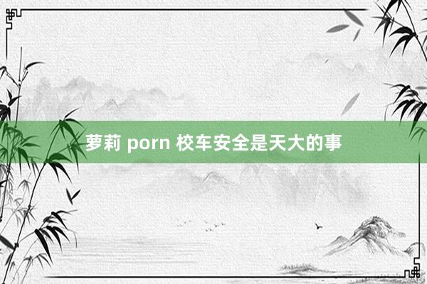 萝莉 porn 校车安全是天大的事