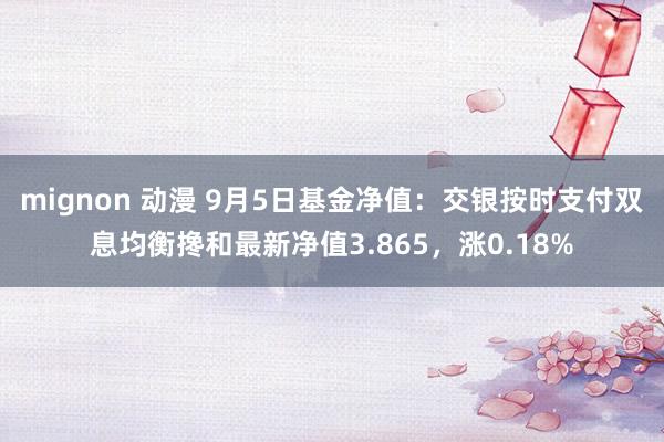 mignon 动漫 9月5日基金净值：交银按时支付双息均衡搀和最新净值3.865，涨0.18%