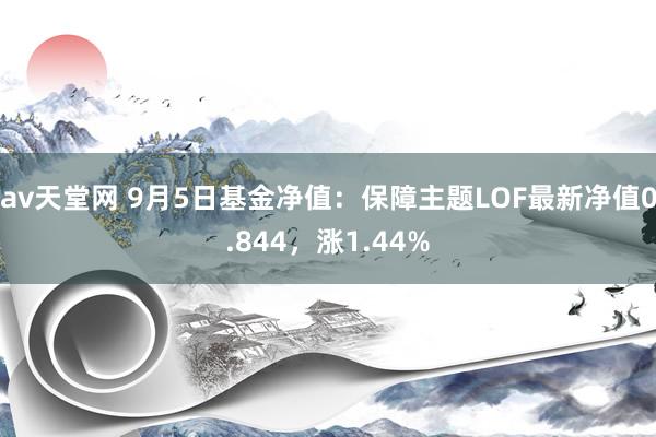 av天堂网 9月5日基金净值：保障主题LOF最新净值0.844，涨1.44%