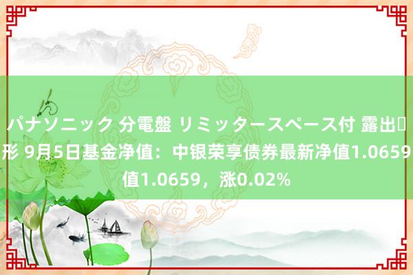 パナソニック 分電盤 リミッタースペース付 露出・半埋込両用形 9月5日基金净值：中银荣享债券最新净值1.0659，涨0.02%