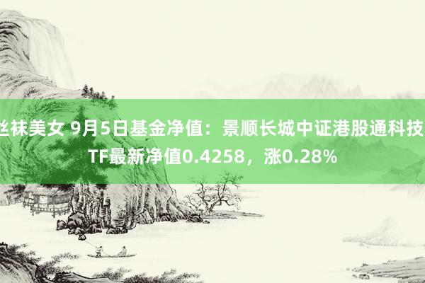 丝袜美女 9月5日基金净值：景顺长城中证港股通科技ETF最新净值0.4258，涨0.28%