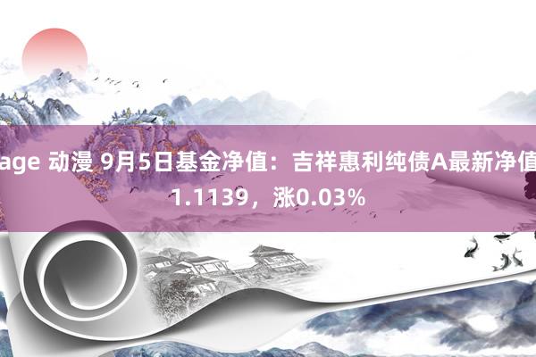 age 动漫 9月5日基金净值：吉祥惠利纯债A最新净值1.1139，涨0.03%