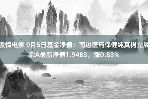 激情电影 9月5日基金净值：南边医药保健纯真树立羼杂A最新净值1.9483，涨0.83%