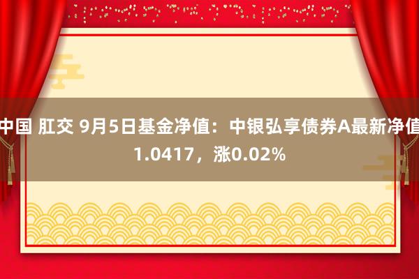 中国 肛交 9月5日基金净值：中银弘享债券A最新净值1.0417，涨0.02%