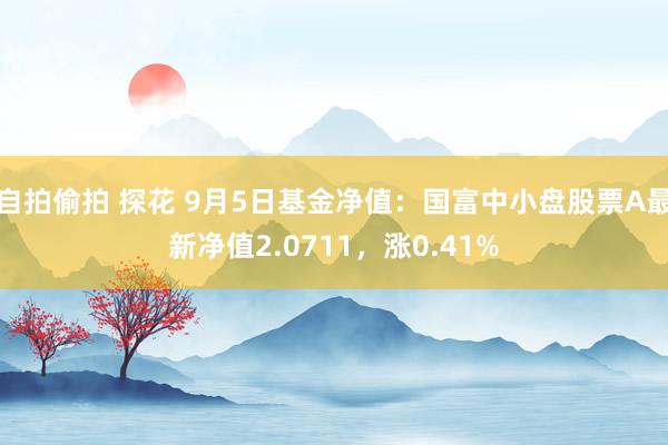 自拍偷拍 探花 9月5日基金净值：国富中小盘股票A最新净值2.0711，涨0.41%