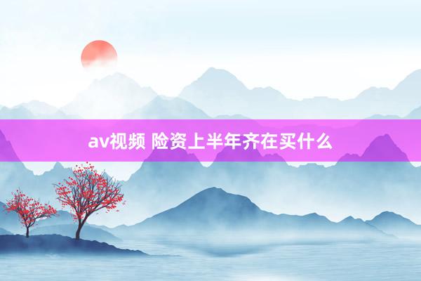 av视频 险资上半年齐在买什么